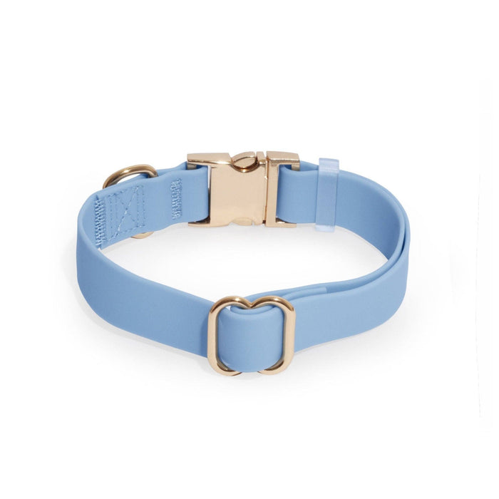 Malibu Blue Dog Collar