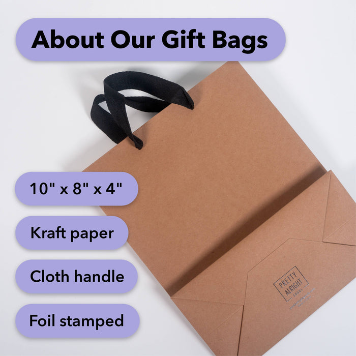 Santa Delivered Gift Bag