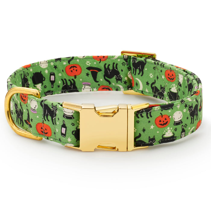 Spellbound Dog Collar