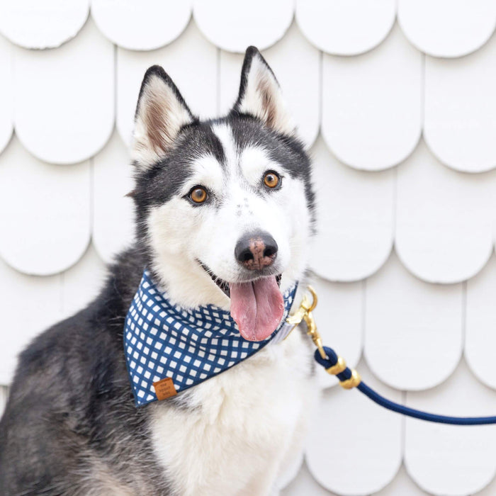 Ocean Marine Dog Leash | 5 Feet