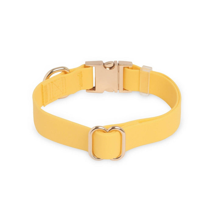 Dandelion Yellow Dog Collar
