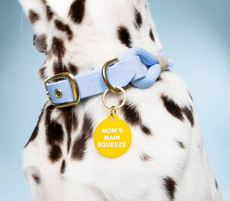 Mom's Main Squeeze Pet Tag