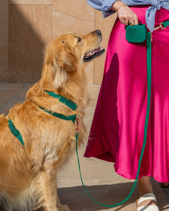 Meadow Green Dog Collar
