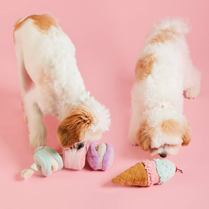 Ice Cream 2-in-1 Bounce Dog Toy