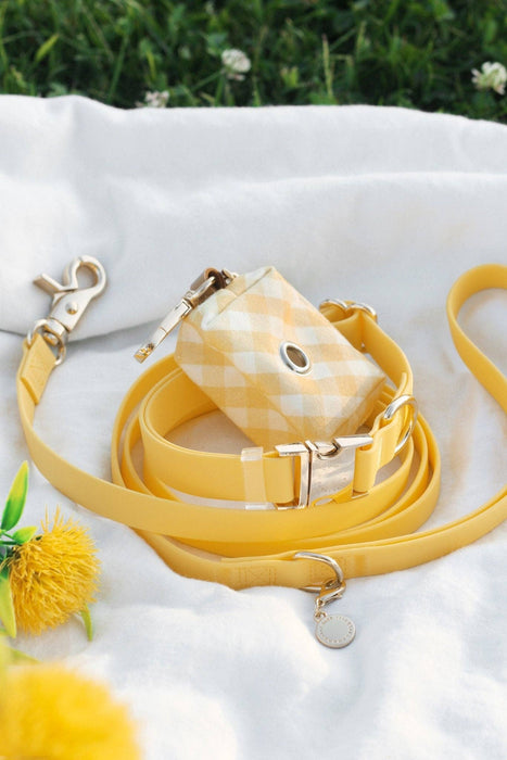 Dandelion Yellow Dog Leash
