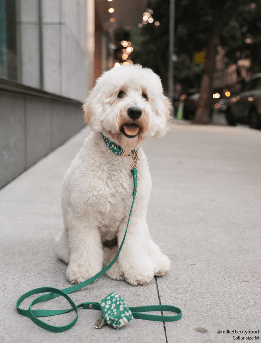Meadow Green Dog Leash