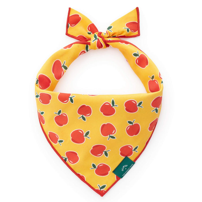 OLIPOP x TFD Crisp Apple Dog Bandana
