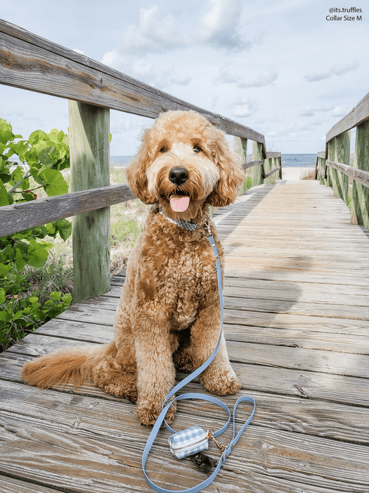 Malibu Blue Dog Leash