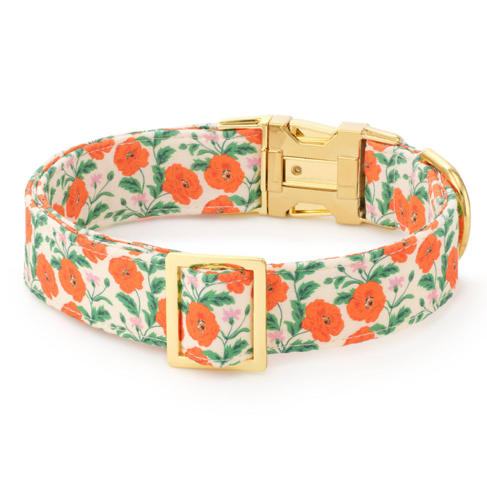 Golden Poppies Dog Collar