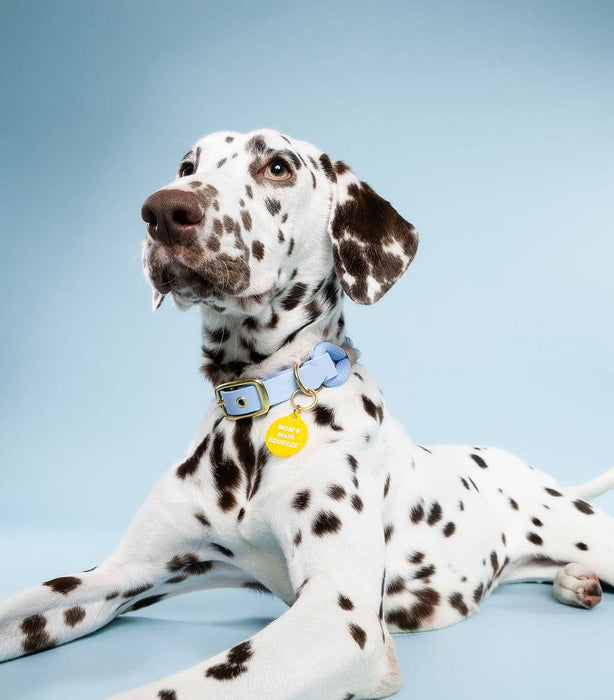 Mom's Main Squeeze Pet Tag