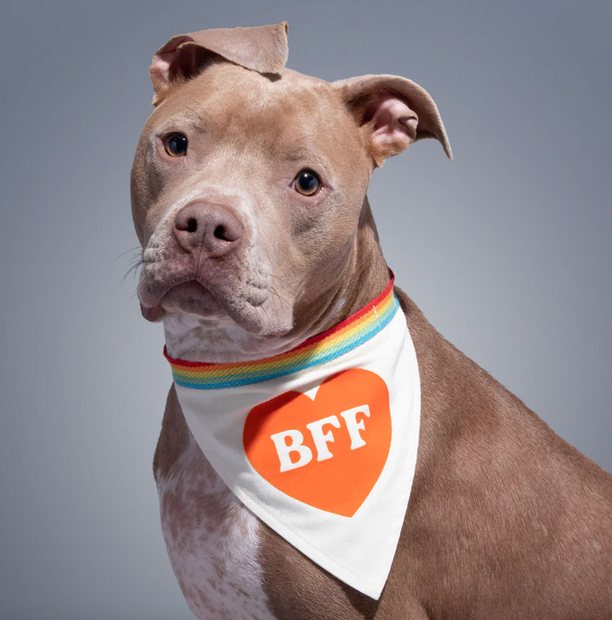 BFF Dog Bandana