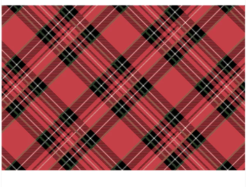 Red Plaid Placemat