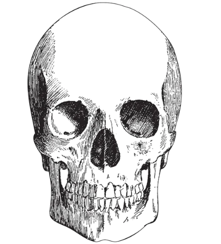 Die Cut Skull Placemat