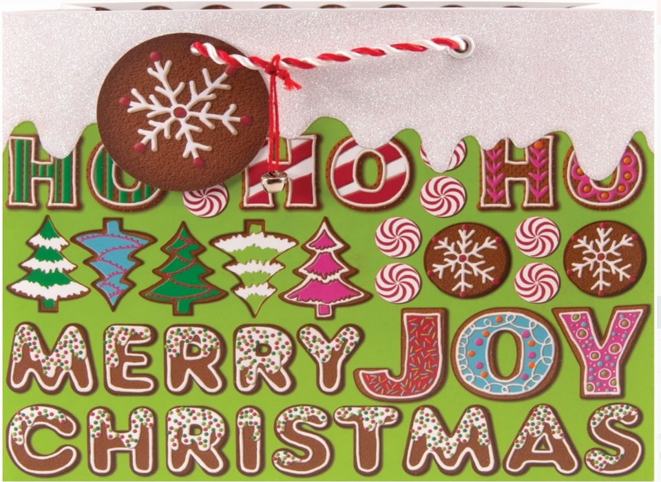 Message from Santa Gift Bag | Medium
