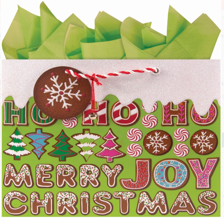Message from Santa Gift Bag | Medium