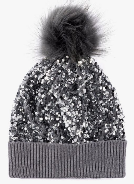 Fiesta Sequin Hat | Silver