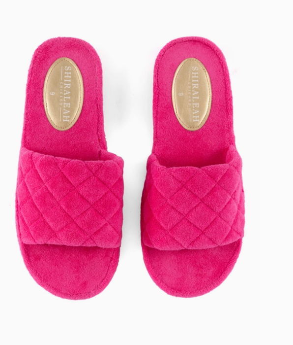 Fuchsia Pool Slides