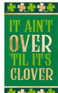 Shenanigans Guest Towel