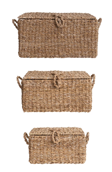 Seagrass Trunk | Small