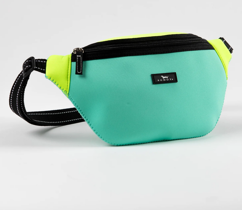 Sun Belt Fanny Pack