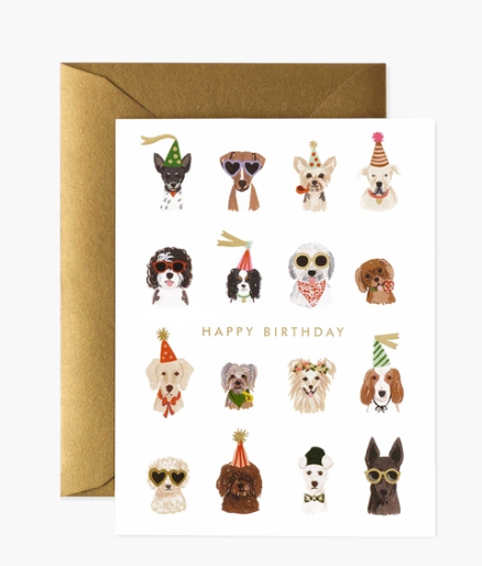 Party Pups Box Set