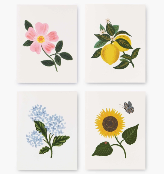Botanical Blossom Assorted Card Set