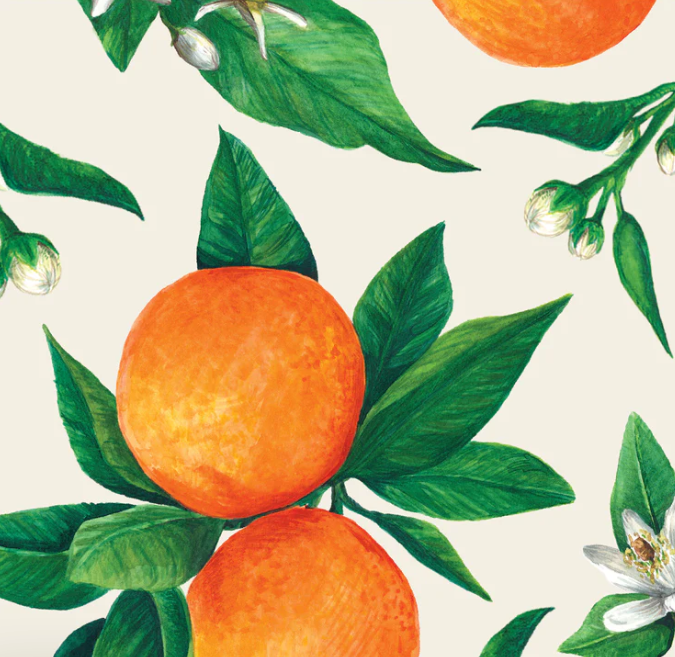 Orange Orchard Cocktail Napkin