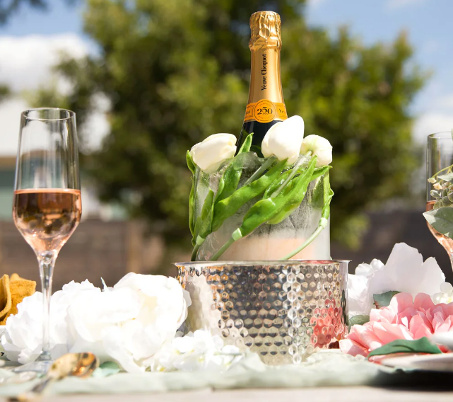 Ice Mold Wine Chiller | Silver