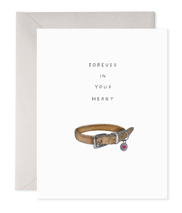 Pet Collar Card