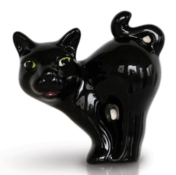 Black Cat (A419)