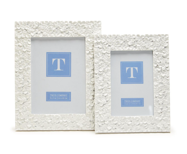 4x6  White Hydrangea Flower Frame