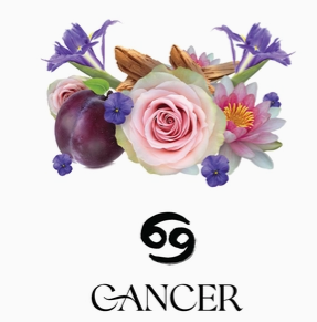 Travel Zodiac Perfume | Cancer