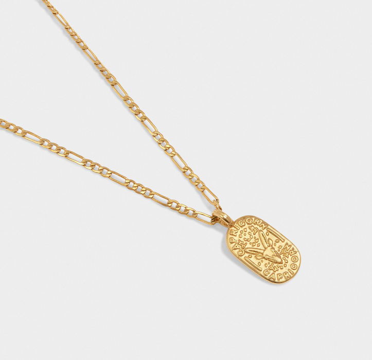 Zodiac Necklace | Capricorn