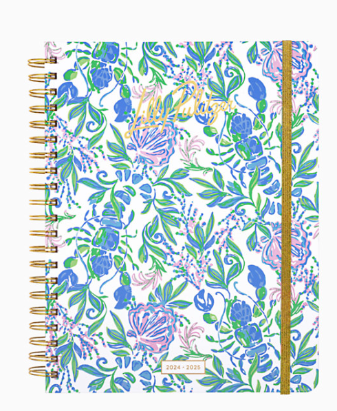 Lilly 17 Month Jumbo 2024-25 Agenda | Just a Pinch