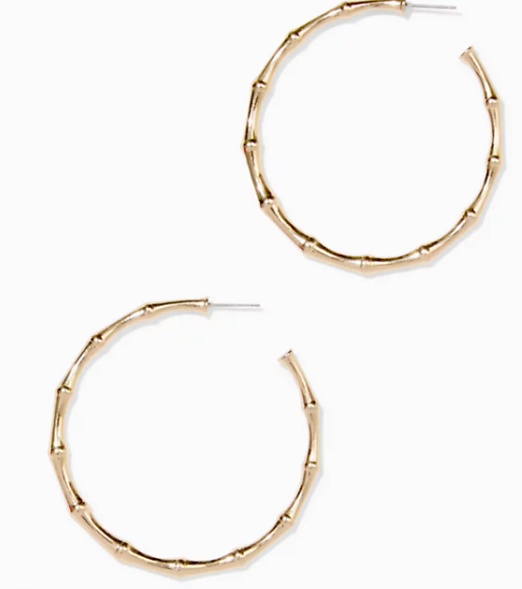 Bamboo Forest Hoop Earrings | Gold Metal