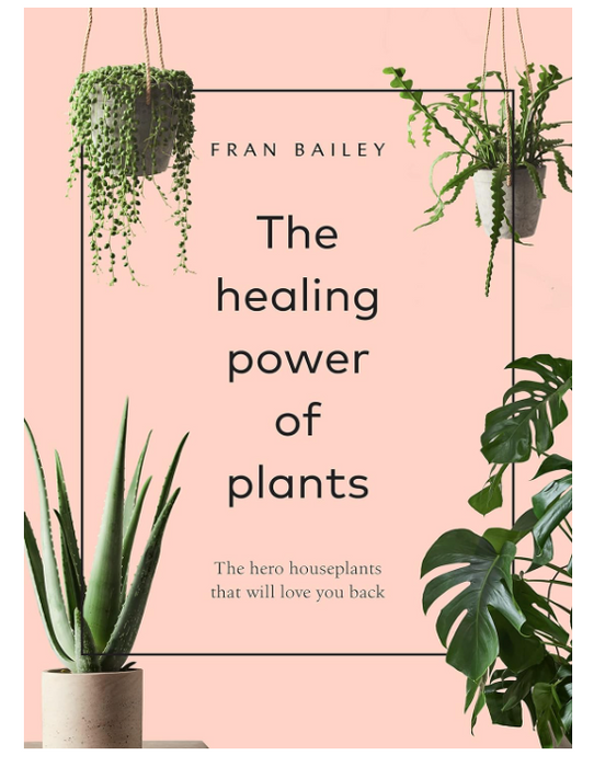 The Healing Power of Plants