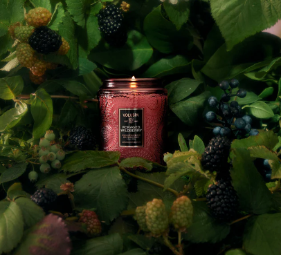 Foraged Wildberry Voluspa Candle | Small Jar