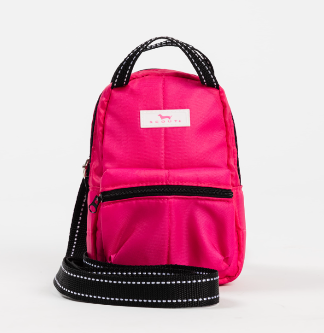 Globetrotter Backpack