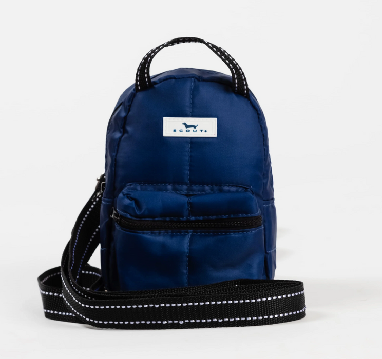 Globetrotter Backpack