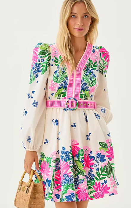 Chyanna V Neck Dress | Multi Endless Summers Engineered