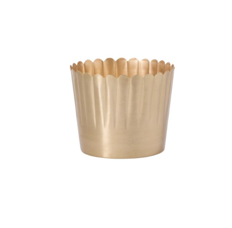7.5" Gold Delicata Pot