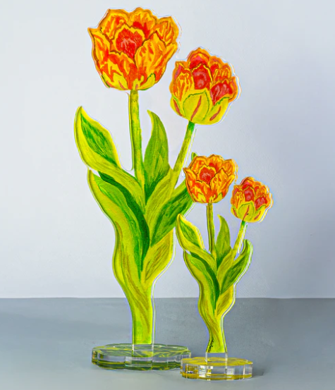 Tulips