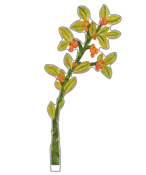 Orange Berries