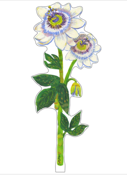 Passion Flowers