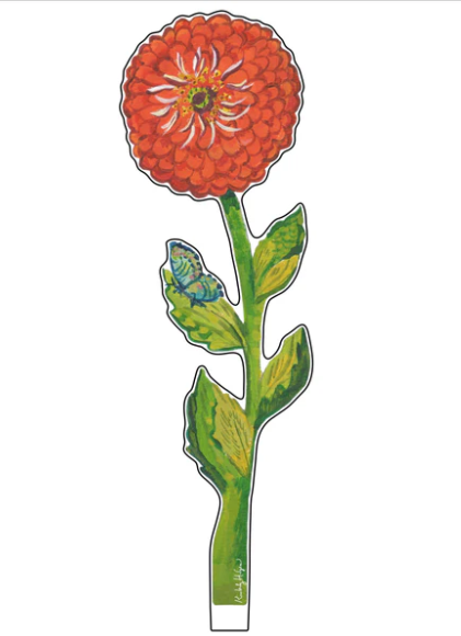 Gerbera Daisy