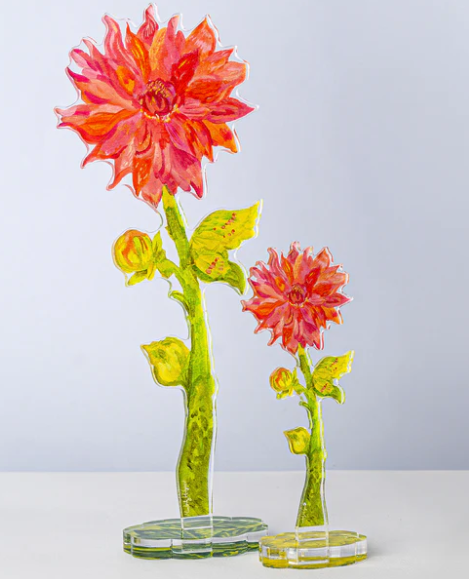 Sonic Bloom Dahlia