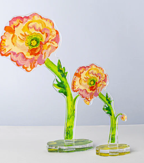 Iceland Poppy