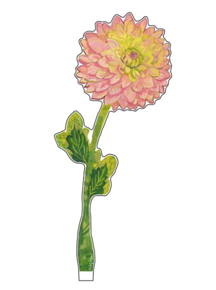 Cafe Au Lait Dahlia