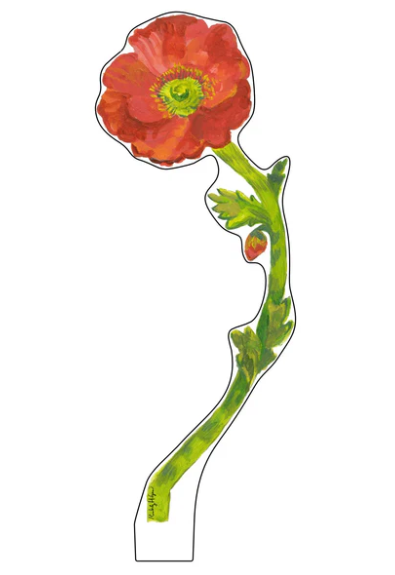 Red Iceland Poppy