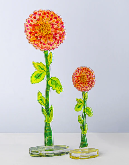 Spotted Dahlia